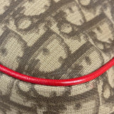 Christian Dior Rasta Trotter Messenger 2004