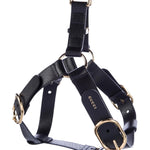 Gucci Black Leather Dog Harness