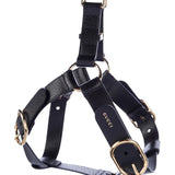 Gucci Black Leather Dog Harness