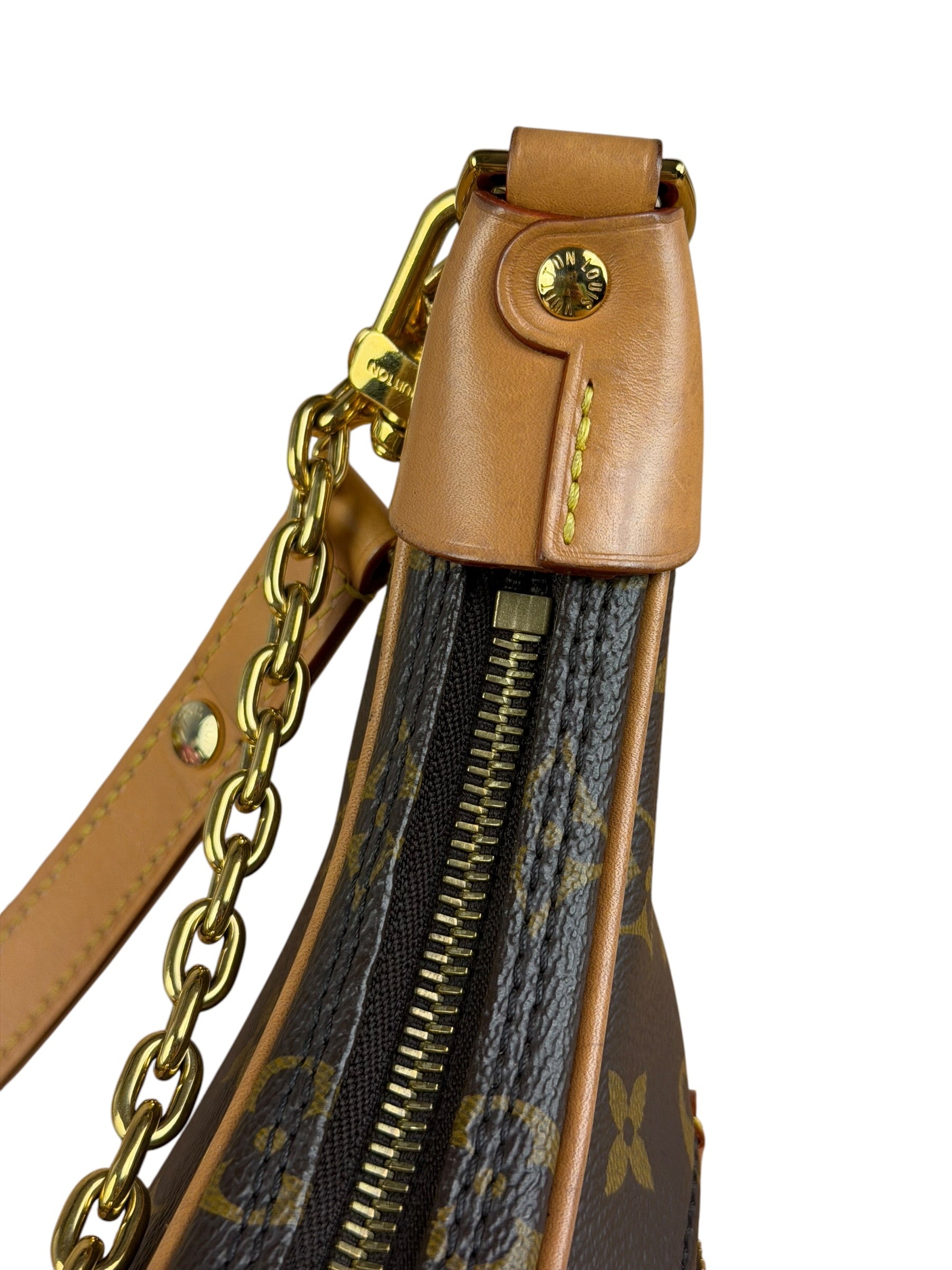 Louis Vuitton Monogram Loop Pochette