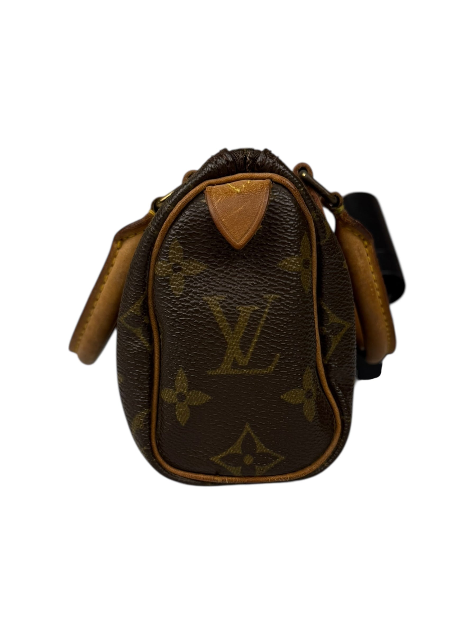 Louis Vuitton Monogram Nano Speedy Bag