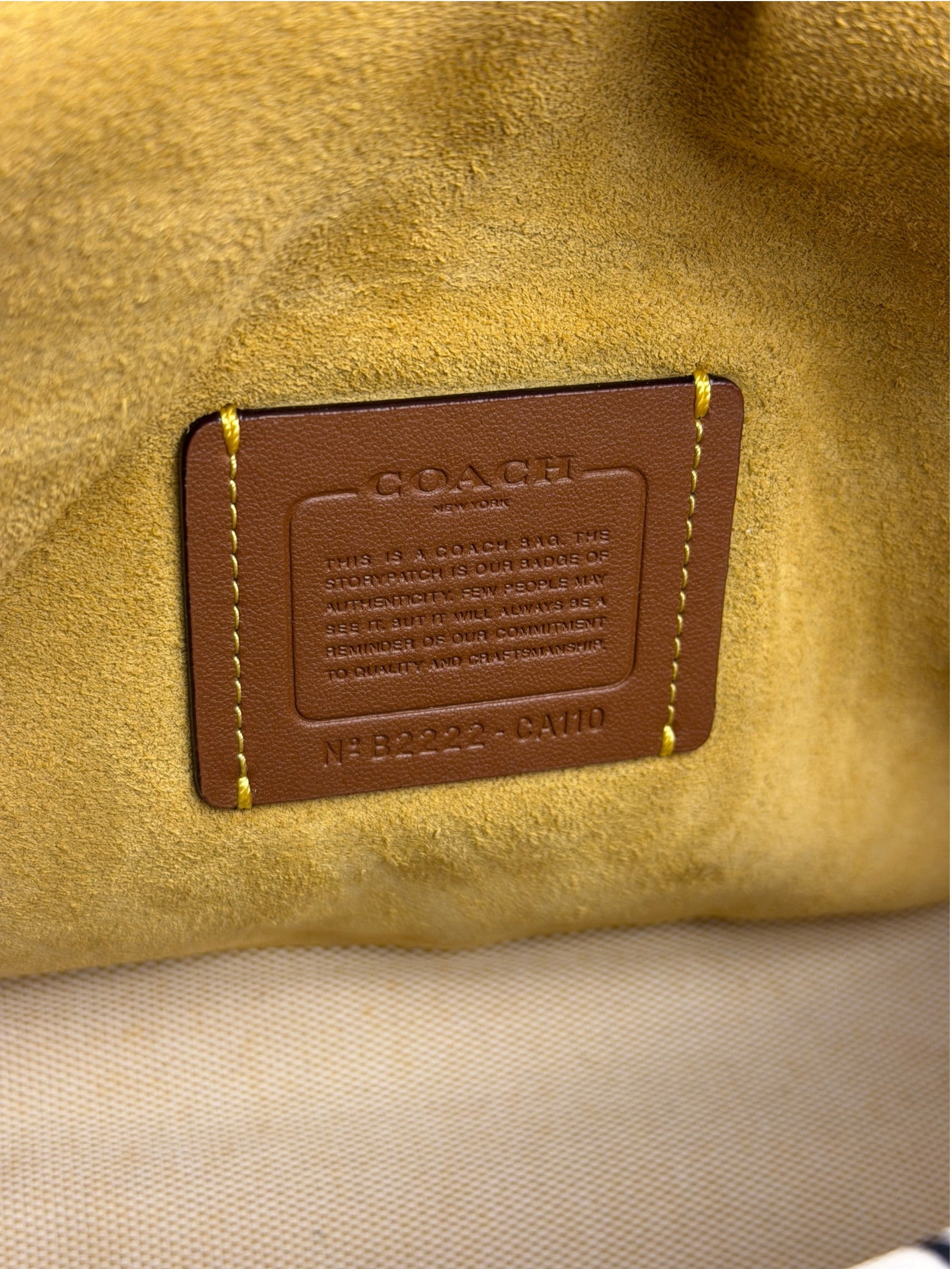 Coach Soft Tabby Shoulder Bag With Cherry Print