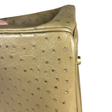 Hermes Birkin 35 Mousse Ostrich 2001