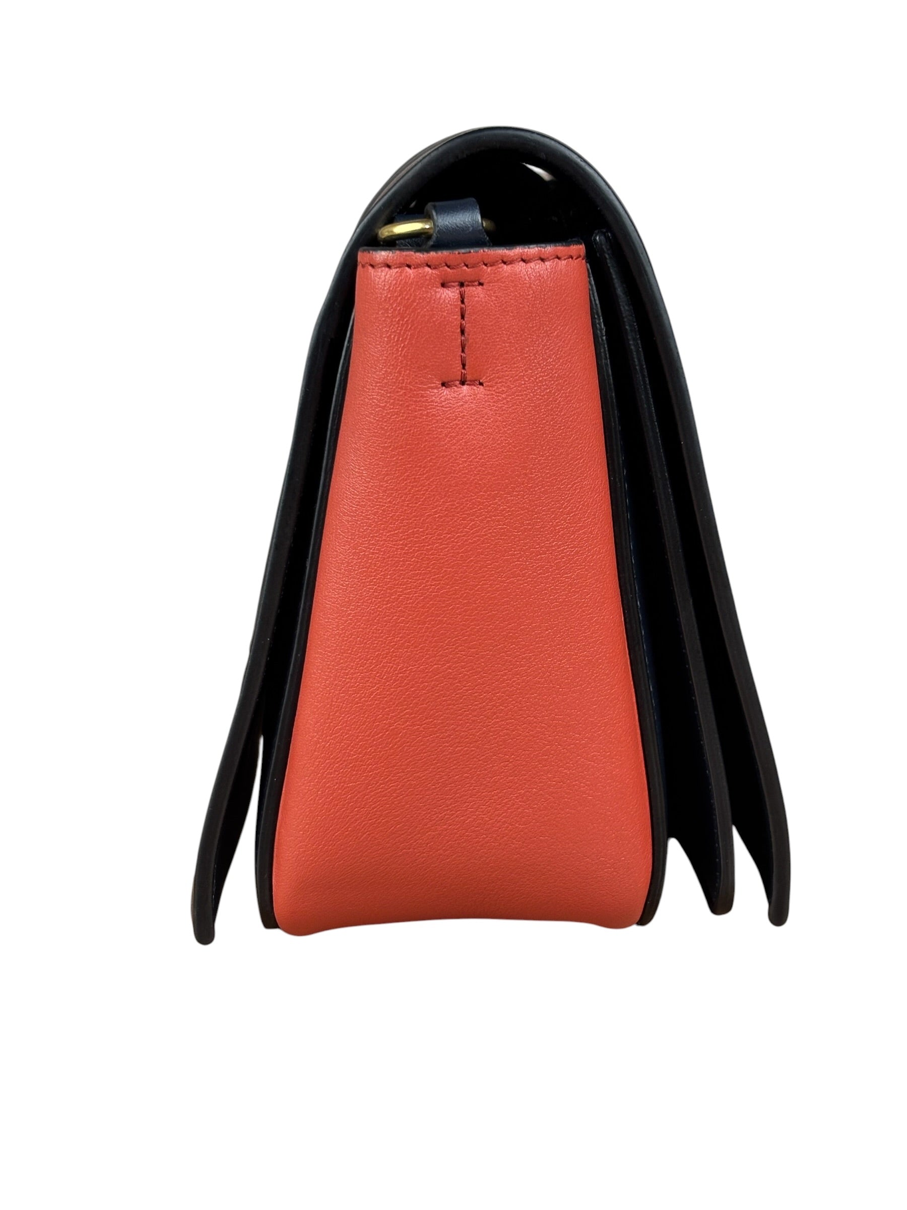 Celine Bicolor Leather Medium Frame Crossbody Bag