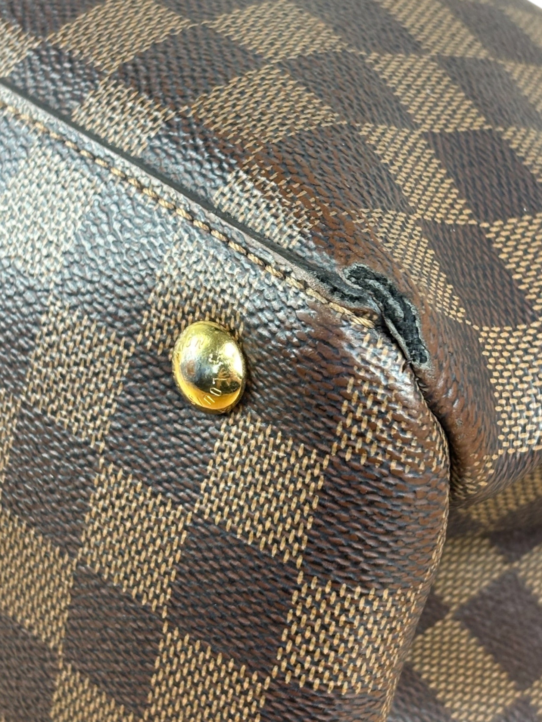 Louis Vuitton Damier Ebene Riverside Two-Way Bag