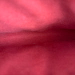Louis Vuitton Red Epi Leather Pochette