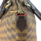 Louis Vuitton Damier Ebene Saleya Tote Bag