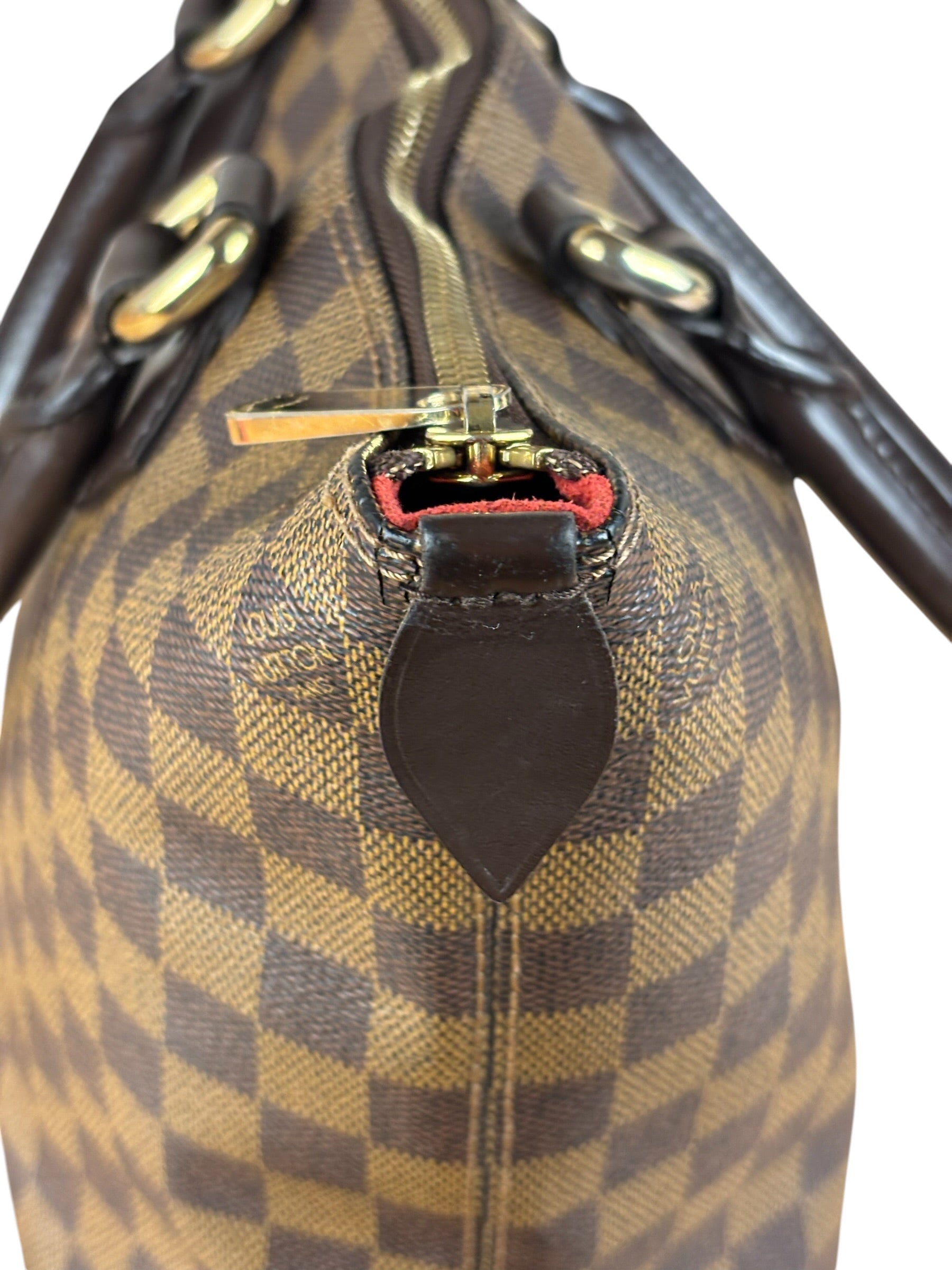 Louis Vuitton Damier Ebene Saleya Tote Bag