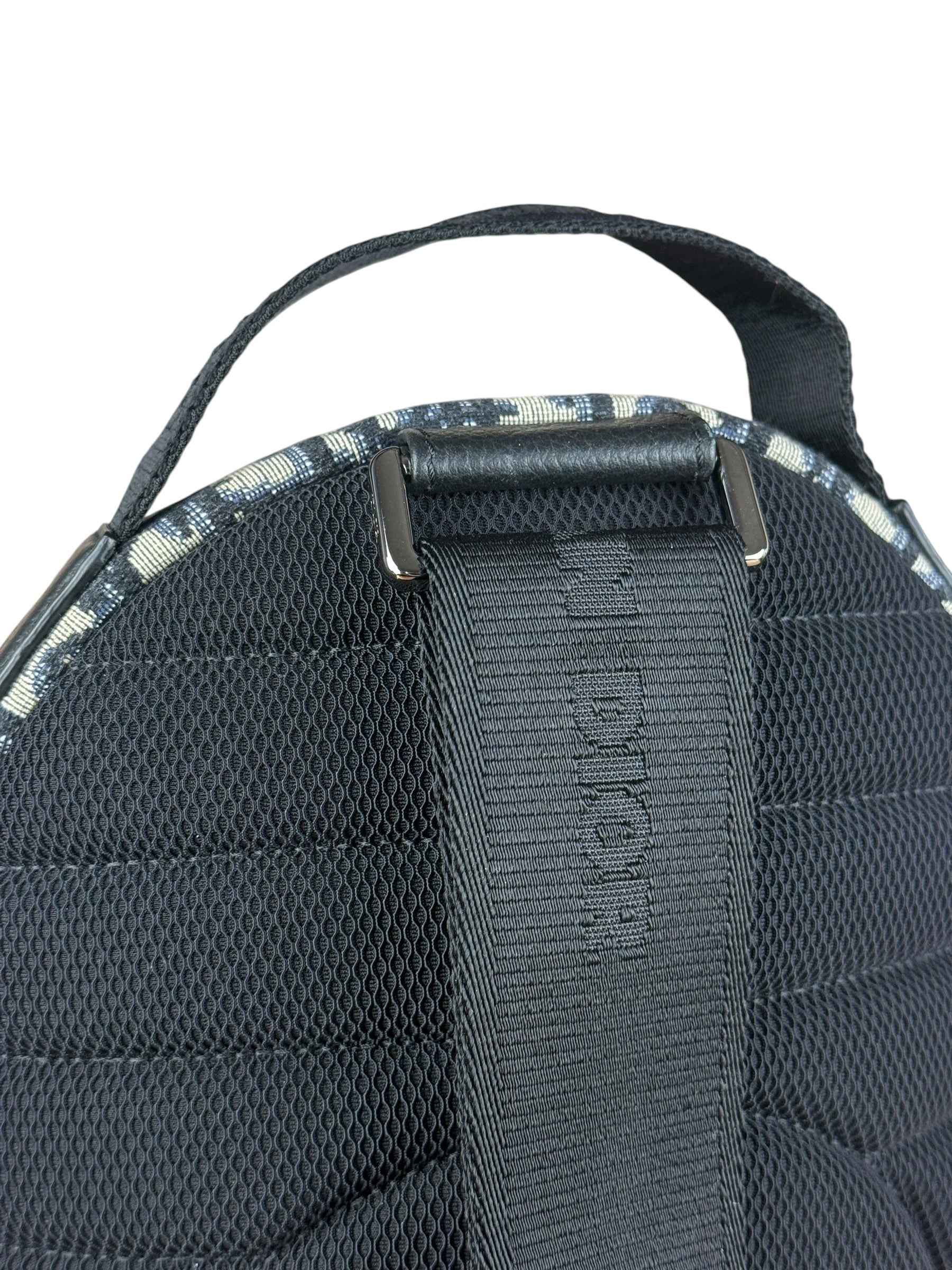 Dior Oblique Rider Sling Bag