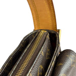 Louis Vuitton Monogram Viva Cite MM