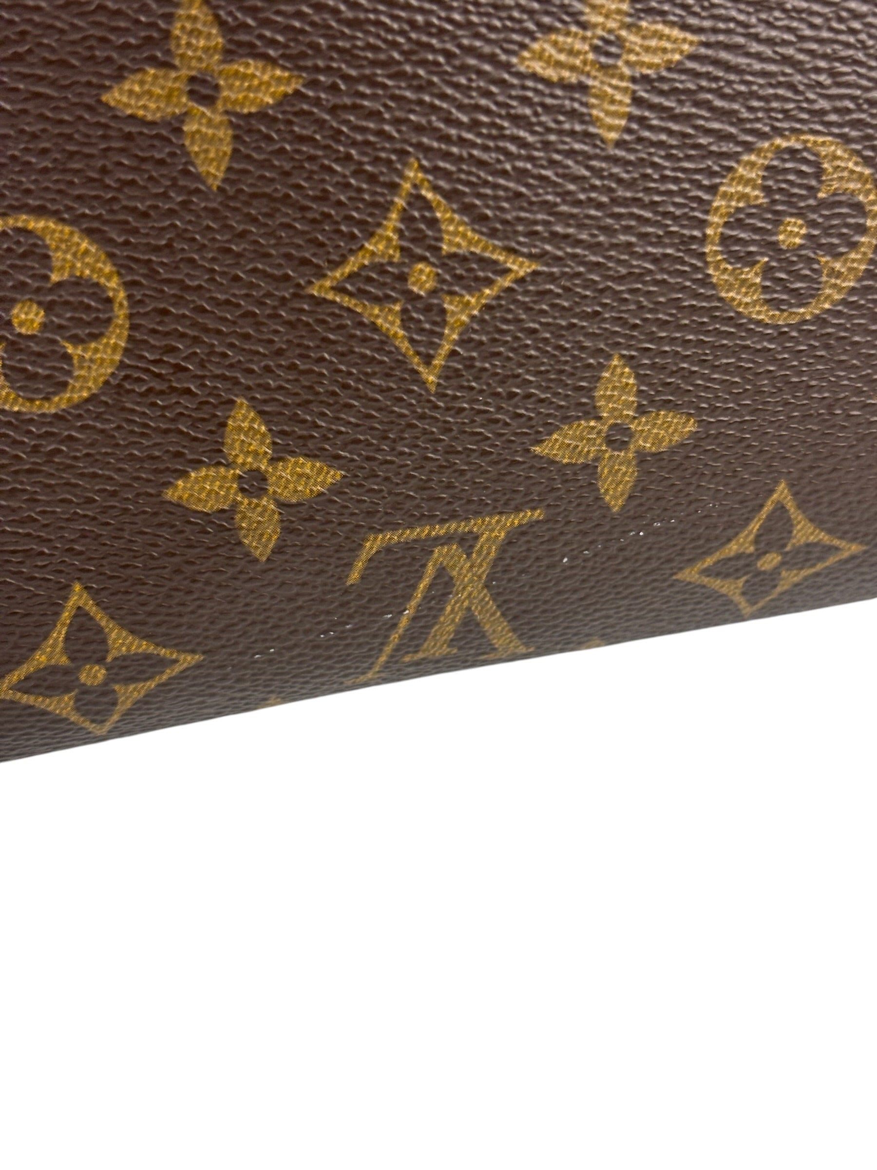 Louis Vuitton Monogram Twin Pochette