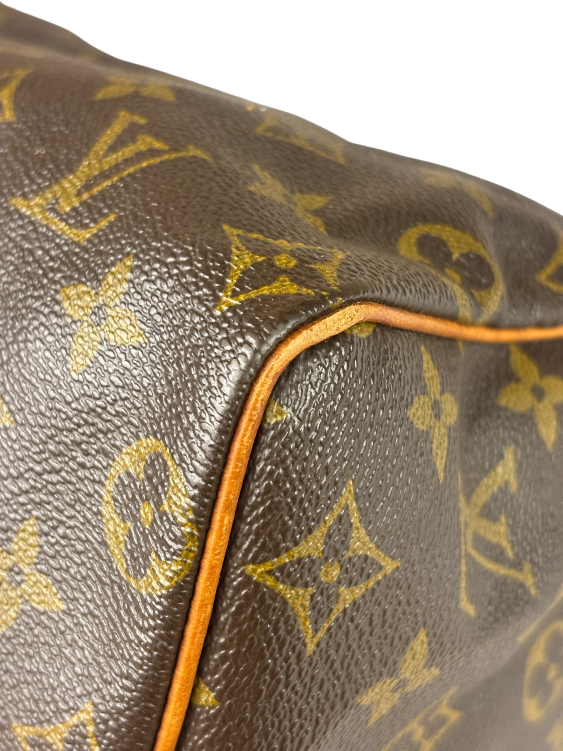 Louis Vuitton Monogram Speedy 25