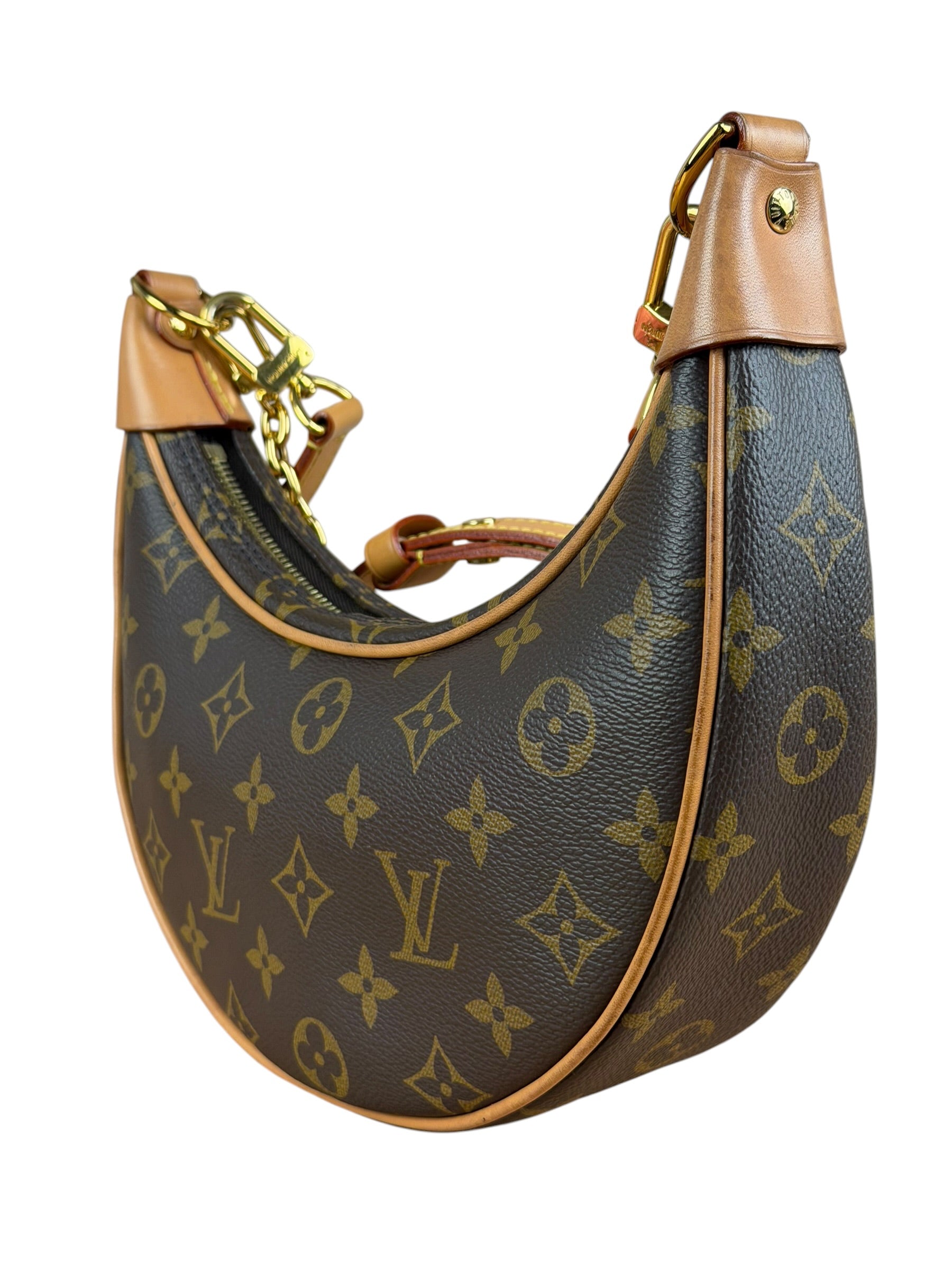 Louis Vuitton Monogram Loop Pochette