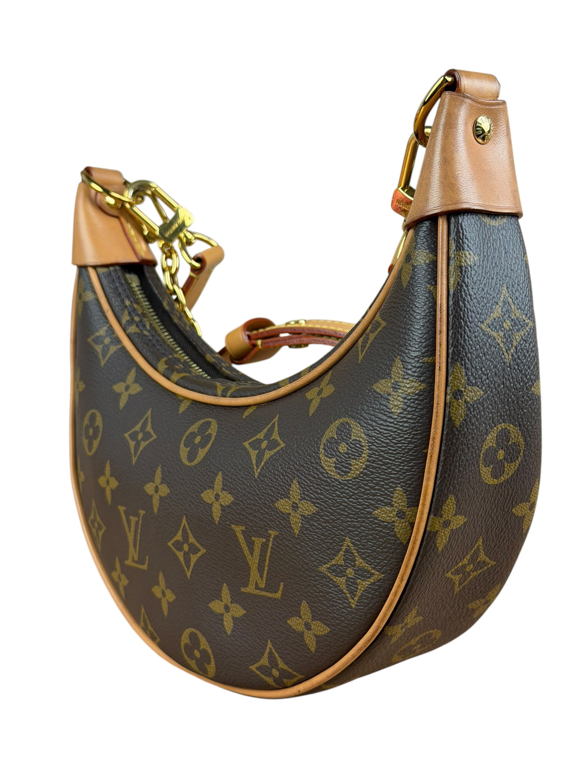 Louis Vuitton Monogram Loop Pochette