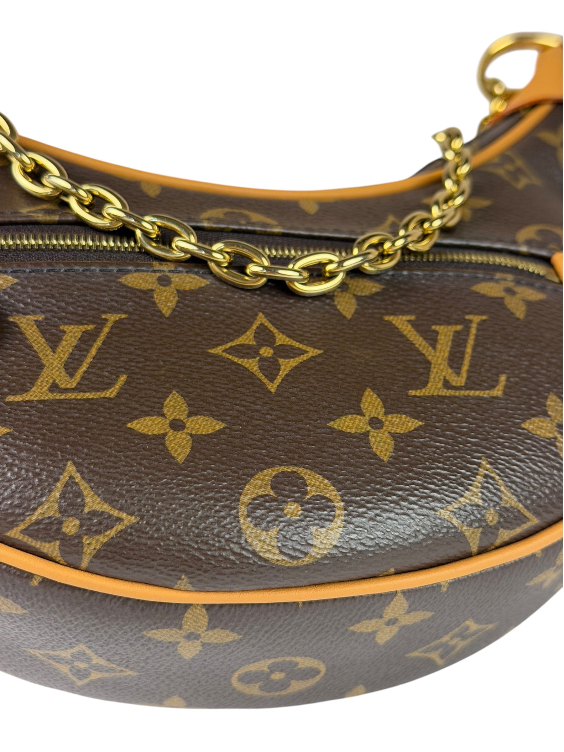 Louis Vuitton Monogram Loop Pochette