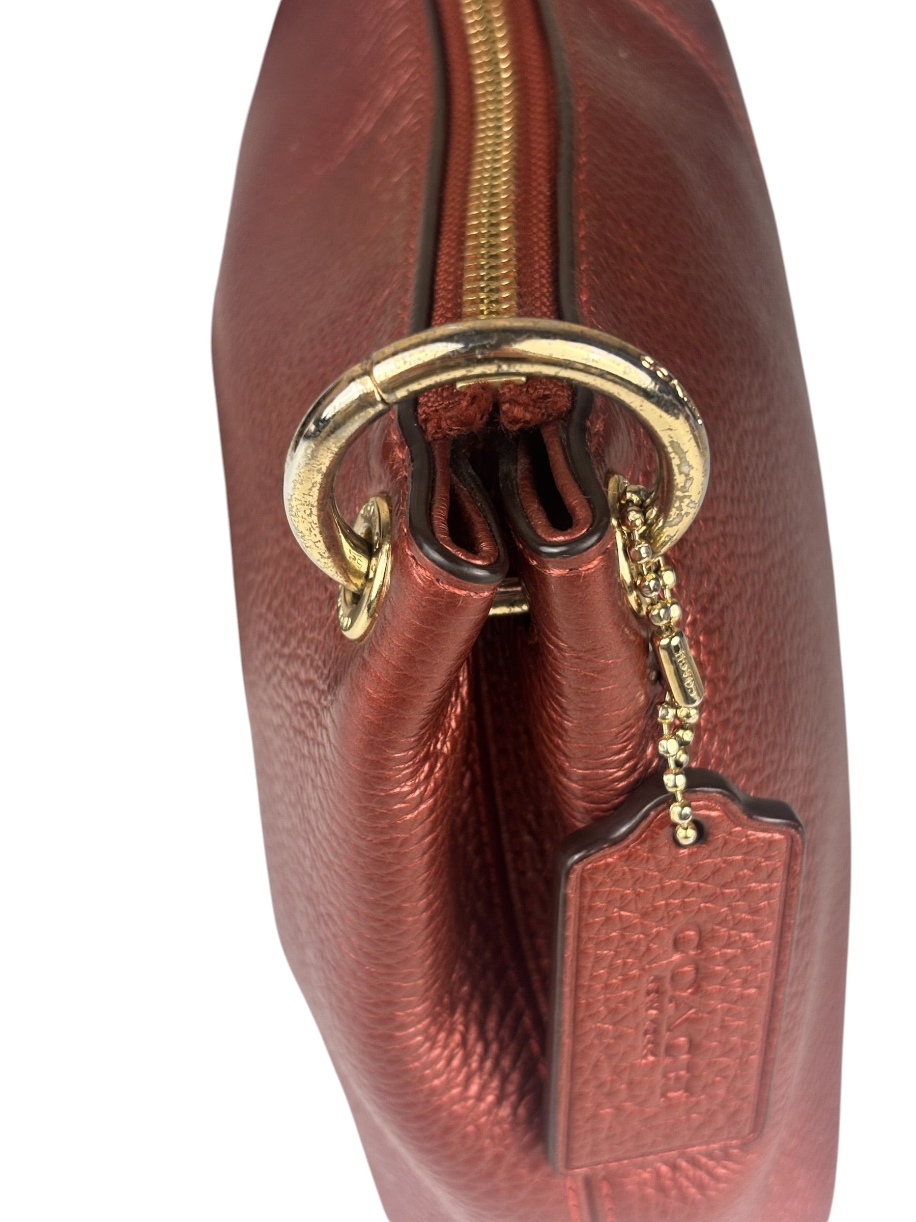 Coach Metallic Currant Leather Charley Crossbody