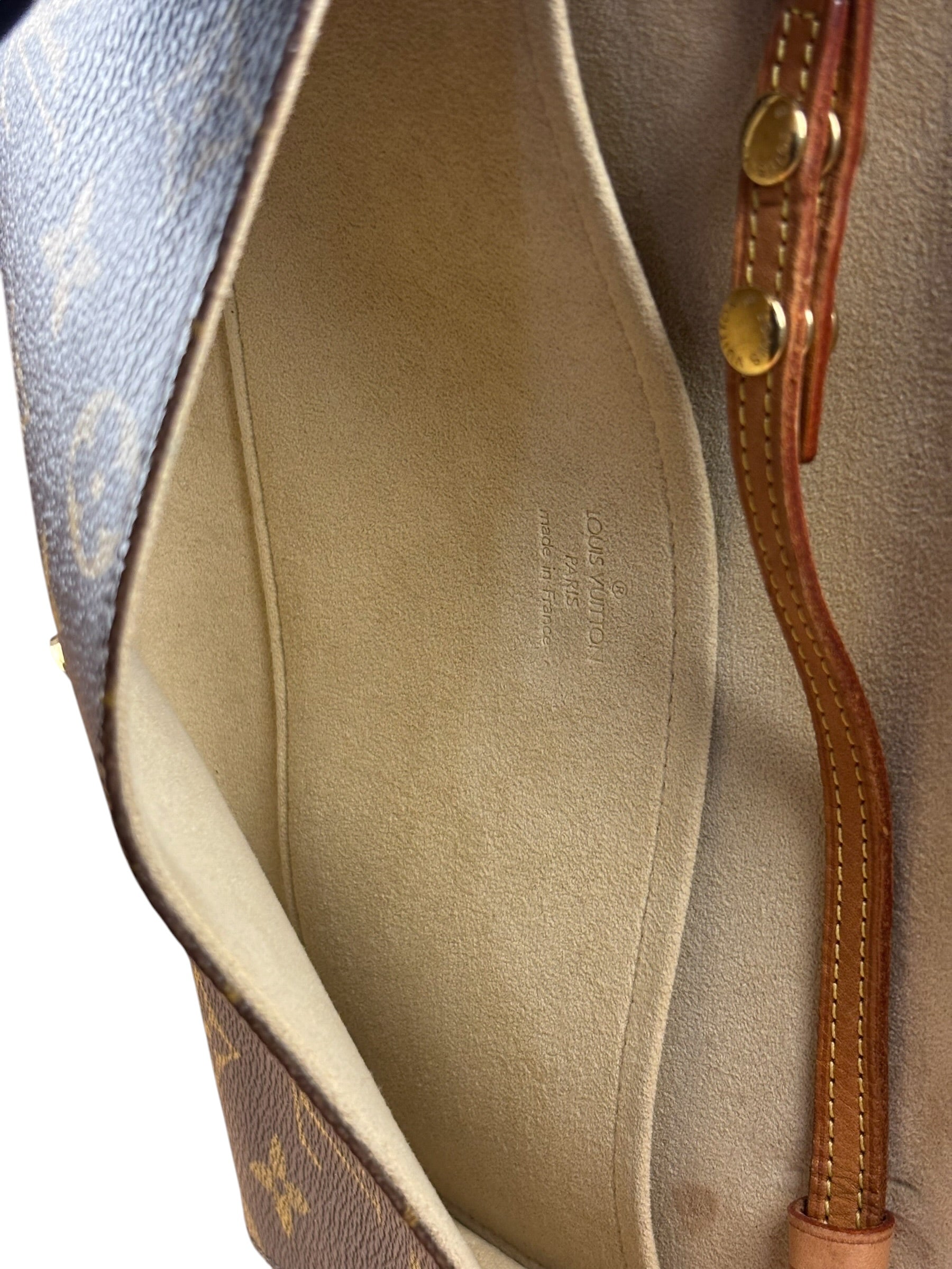 Louis Vuitton Monogram Twin Pochette