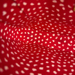 Louis Vuitton x Yayoi Kusama Polka Dot Pochette