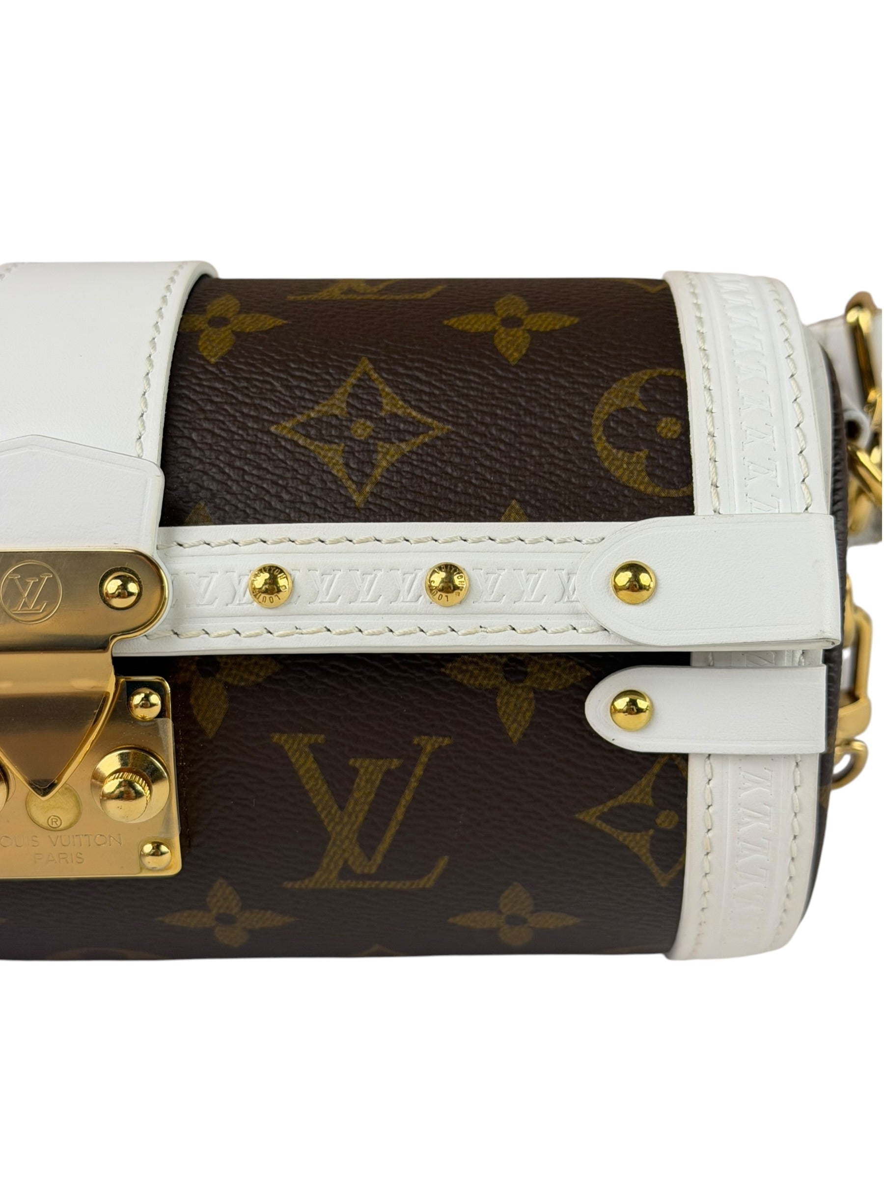Louis Vuitton Monogram Match Papillon Trunk Two-Way Bag