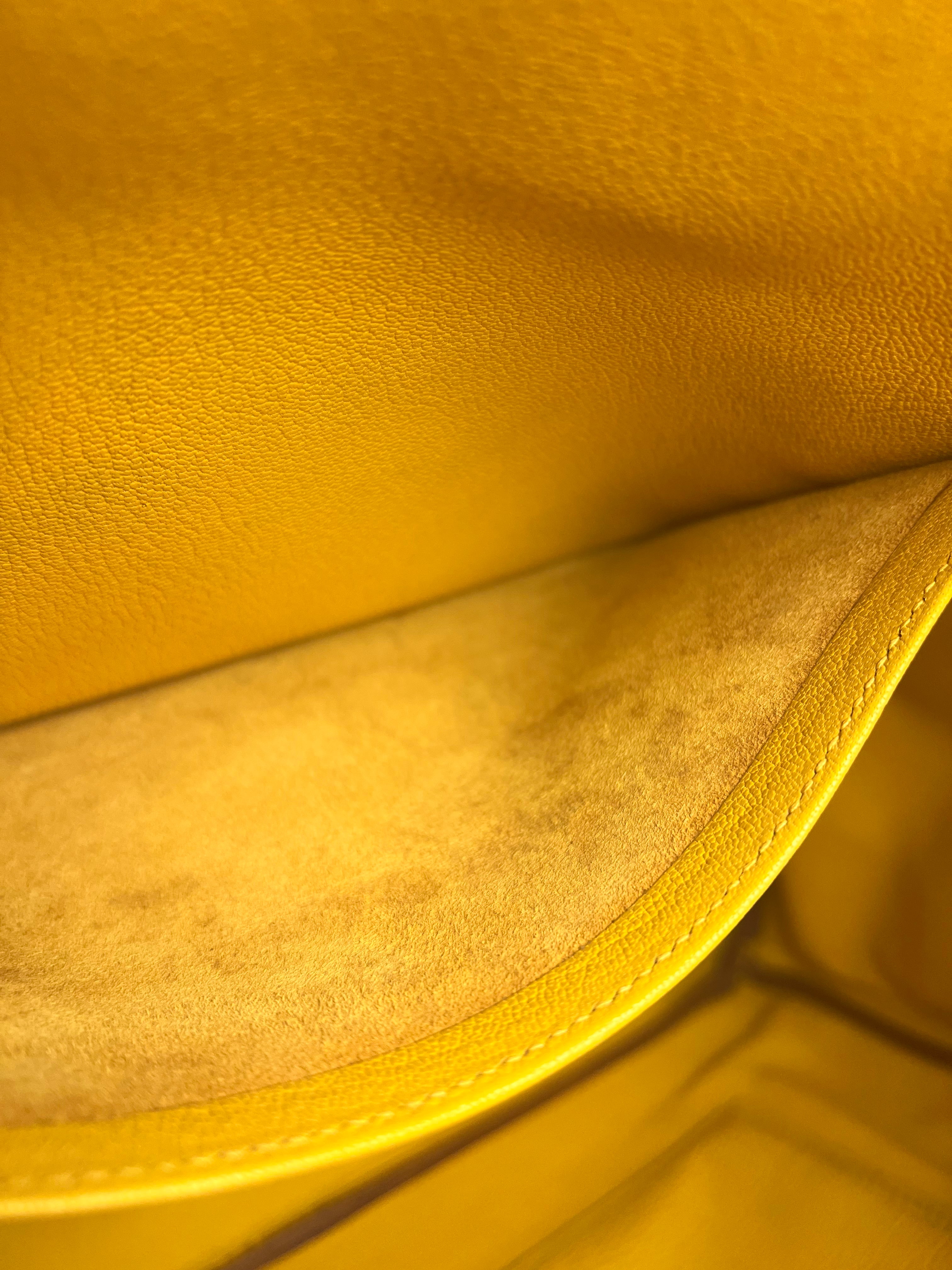 Hermes Birkin 35 Cushvel Havana x Jaune