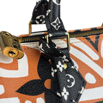 Louis Vuitton Multicolor Crafty Speedy Bandouliere 25
