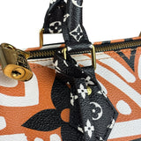 Louis Vuitton Multicolor Crafty Speedy Bandouliere 25
