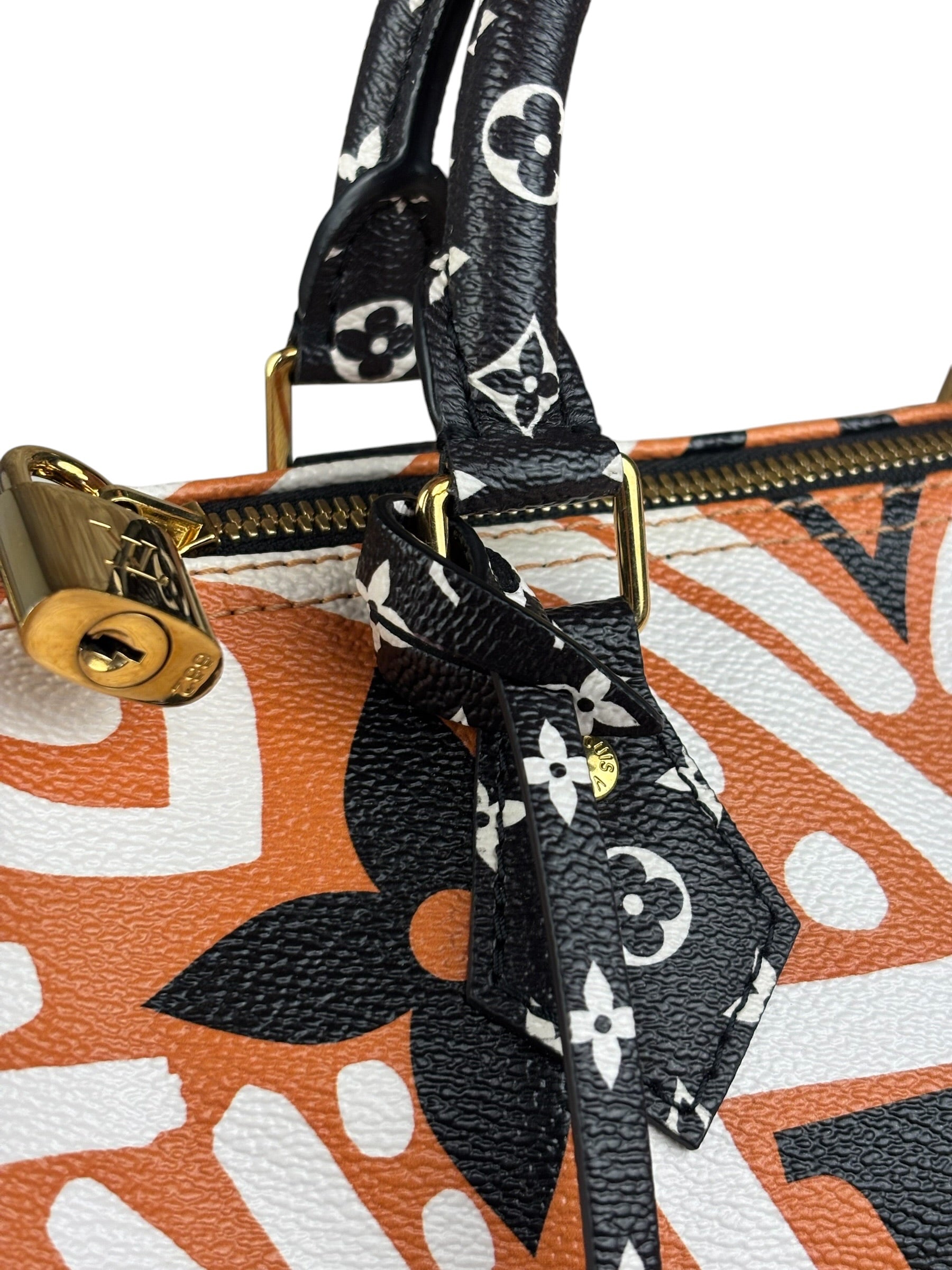 Louis Vuitton Multicolor Crafty Speedy Bandouliere 25
