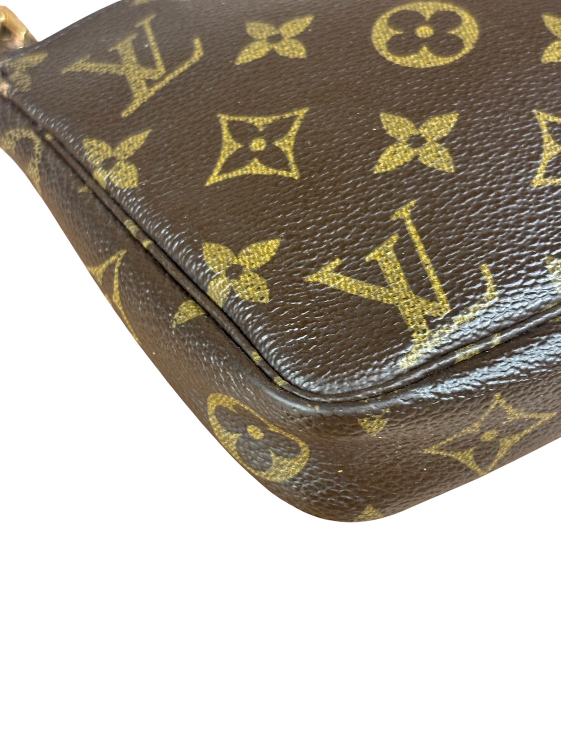 Louis Vuitton Monogram Pochette