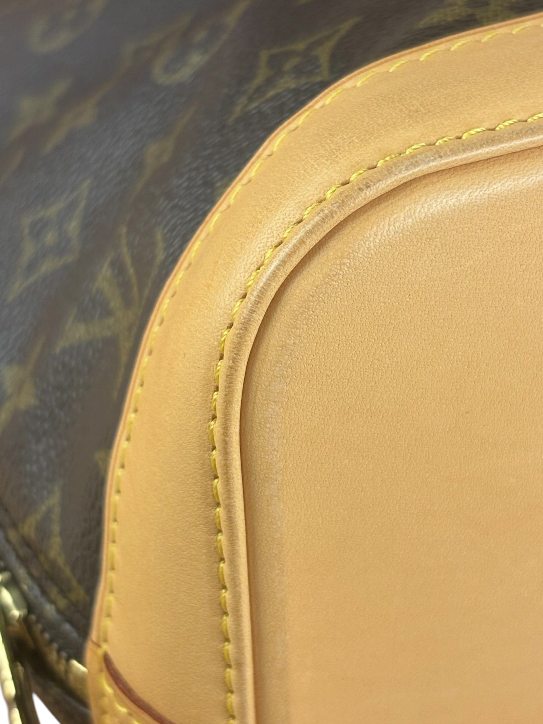 Louis Vuitton Monogram Alma PM