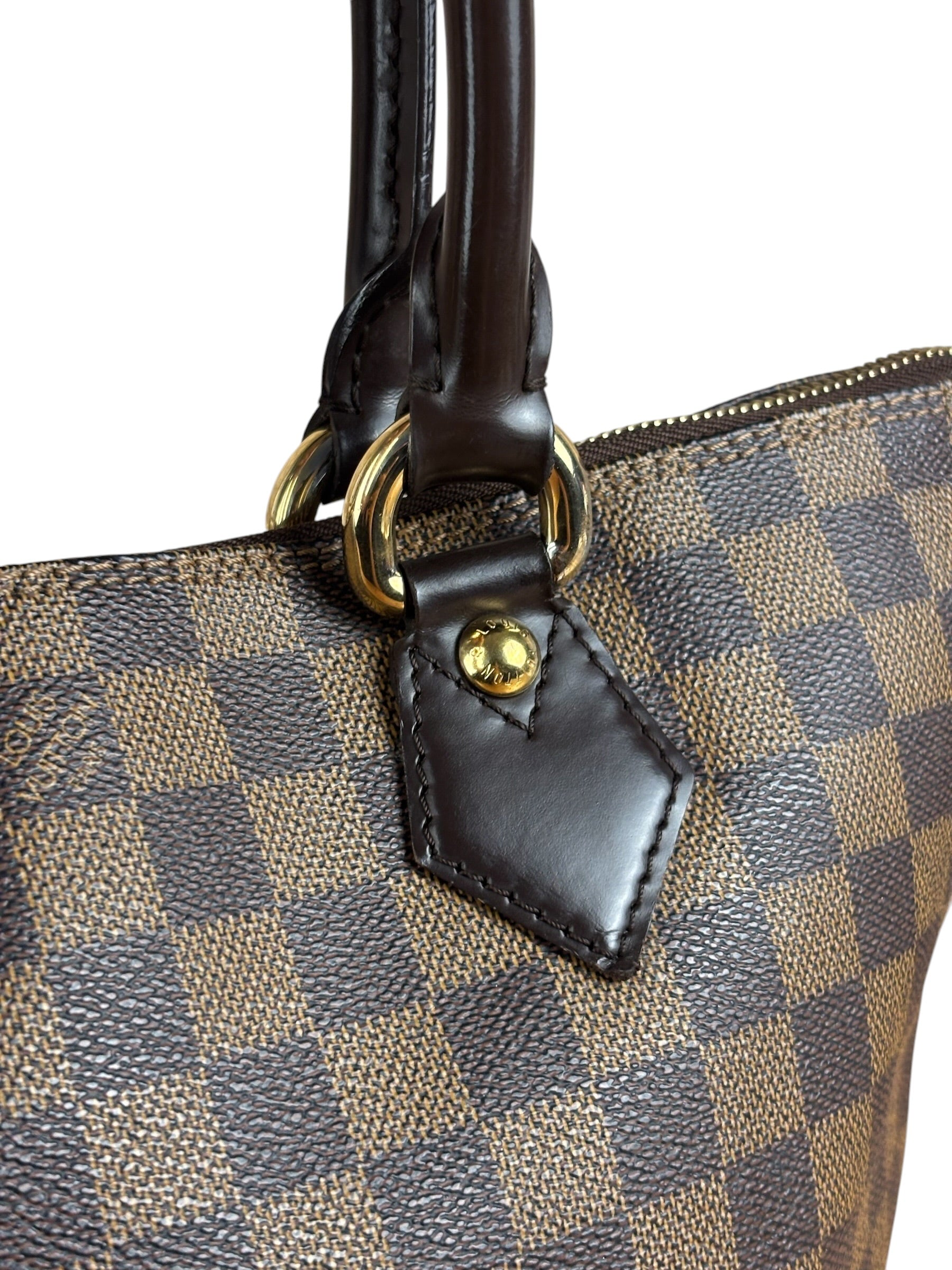 Louis Vuitton Damier Ebene Saleya Tote Bag