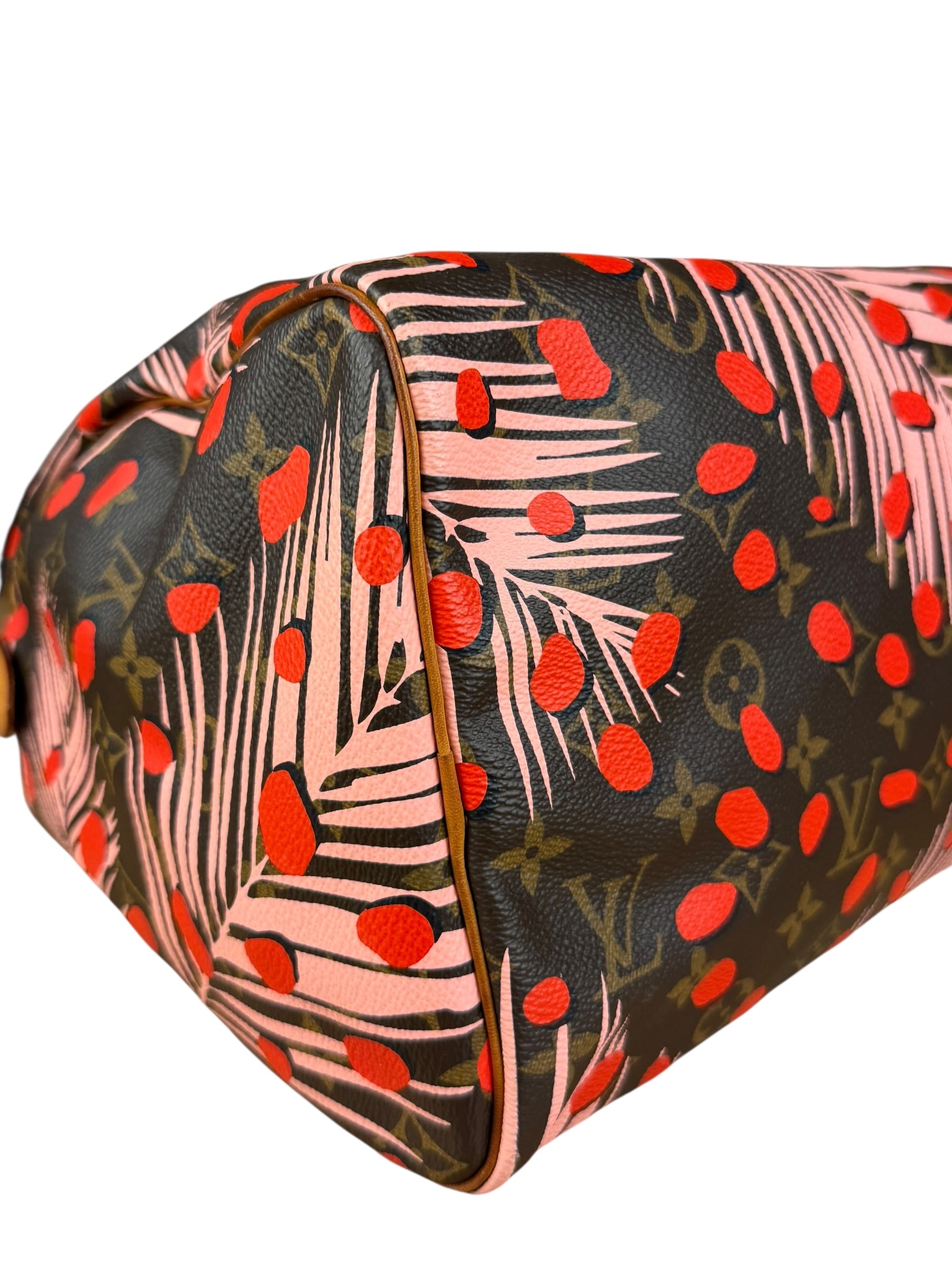Louis Vuitton Limited Edition Jungle Dots Speedy 30