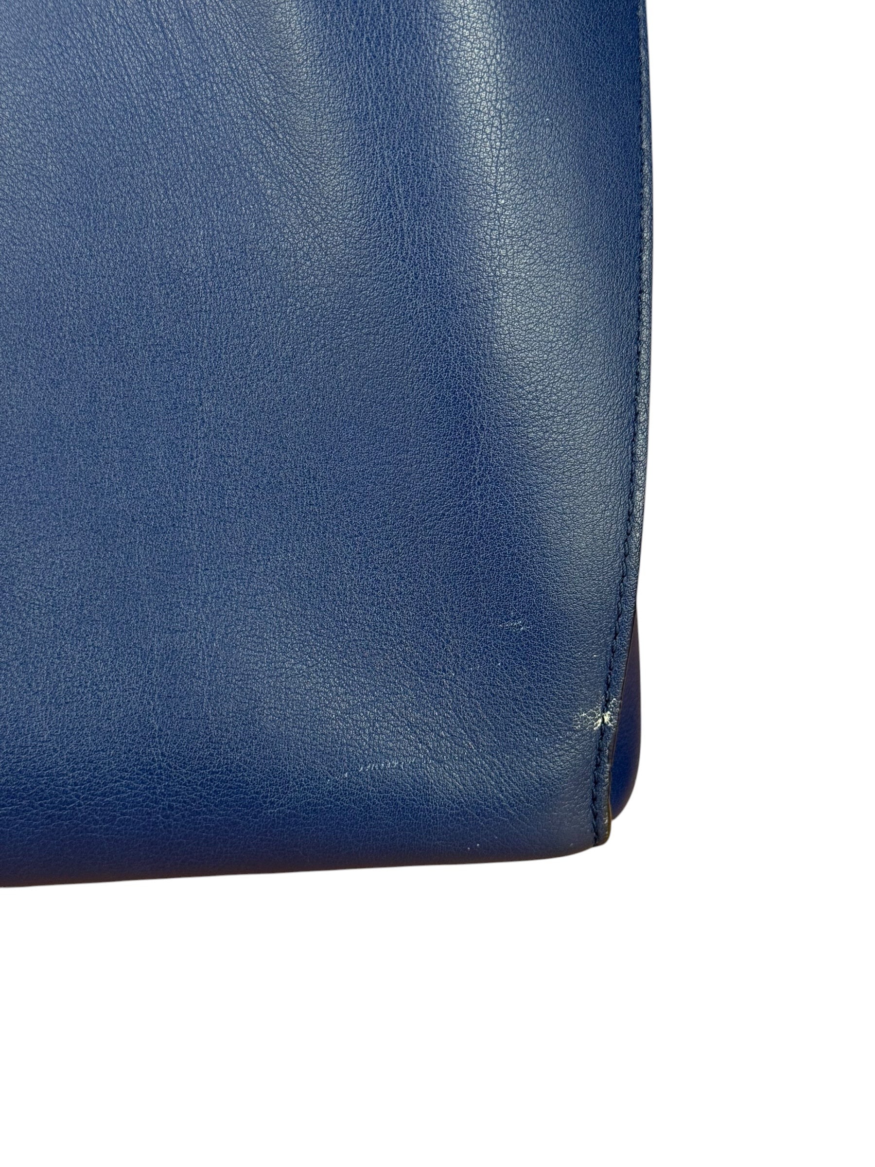 Christian Dior Python Trimmed Blue Addict Tote