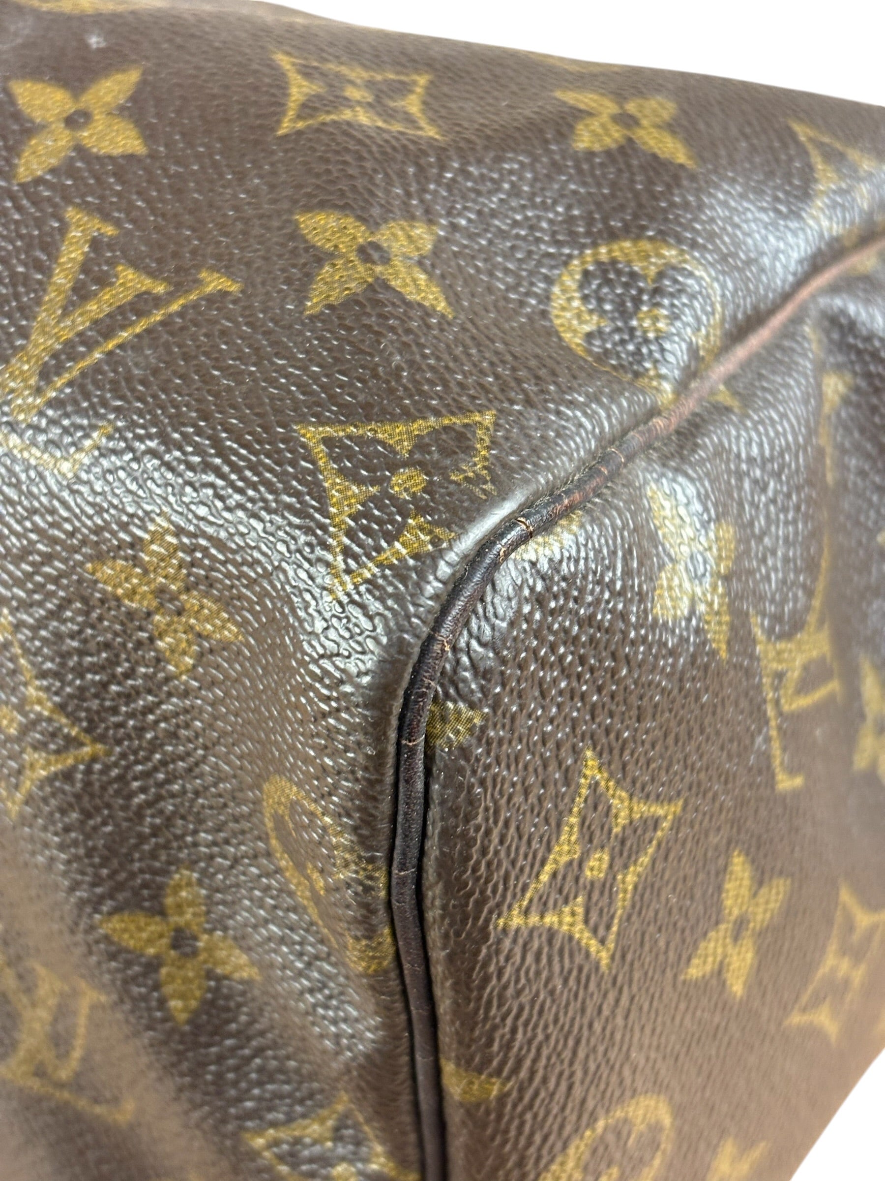 Louis Vuitton Monogram Speedy 25