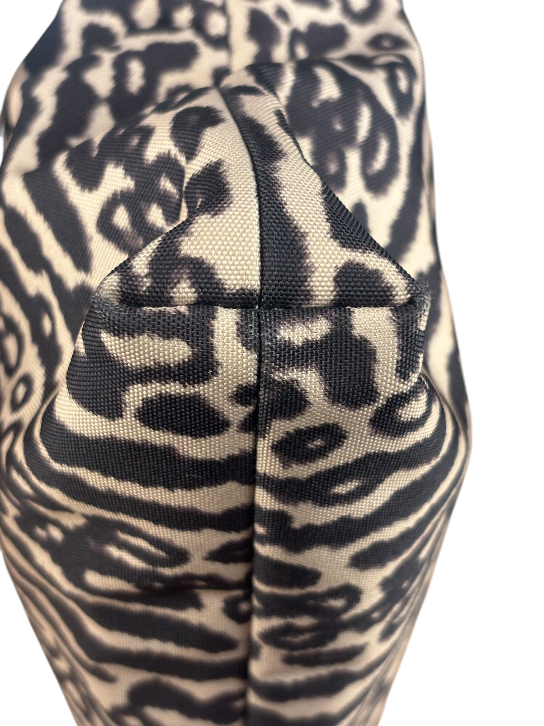 Coach Leopard Print Canvas Crossbody