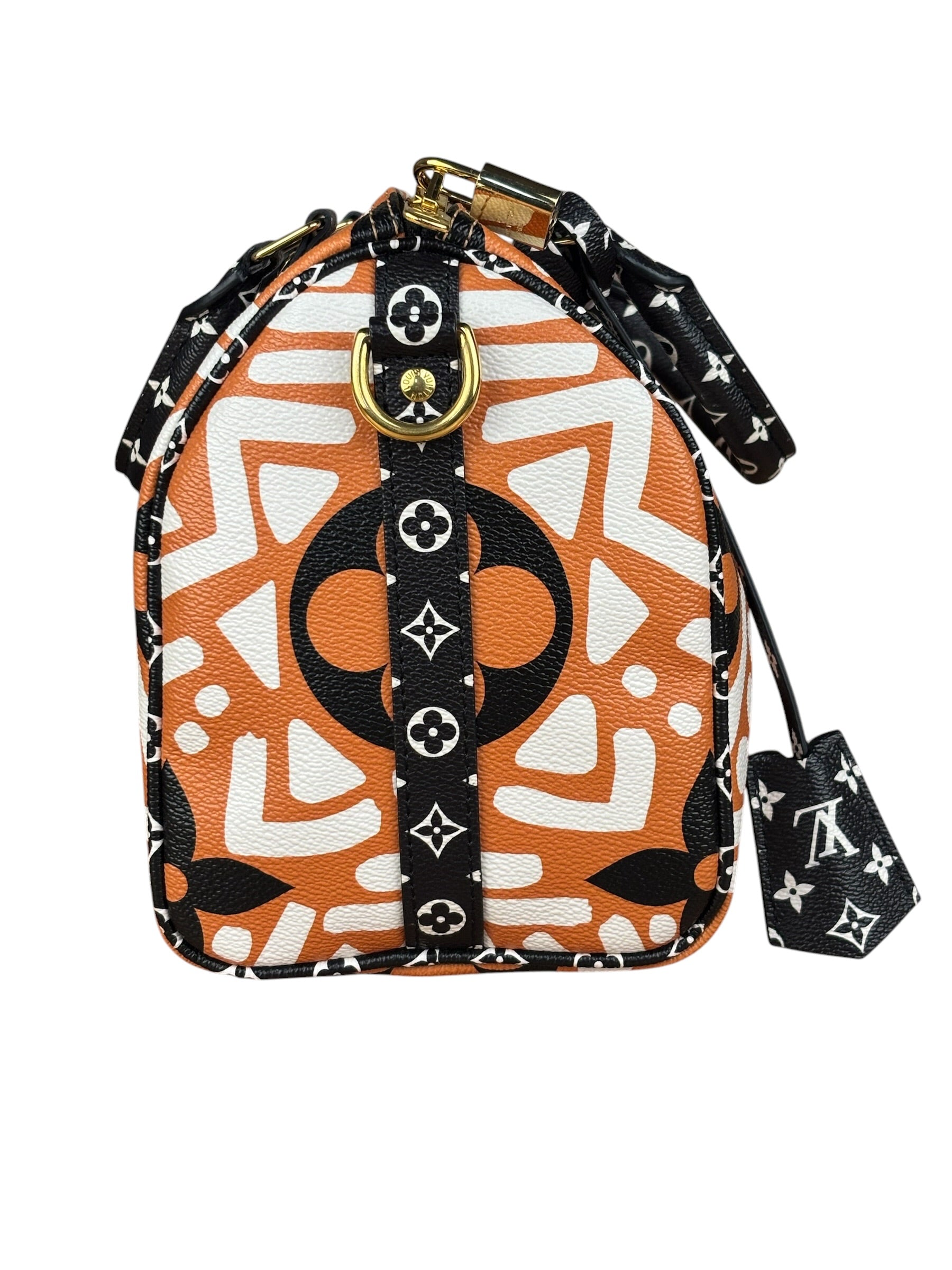 Louis Vuitton Multicolor Crafty Speedy Bandouliere 25