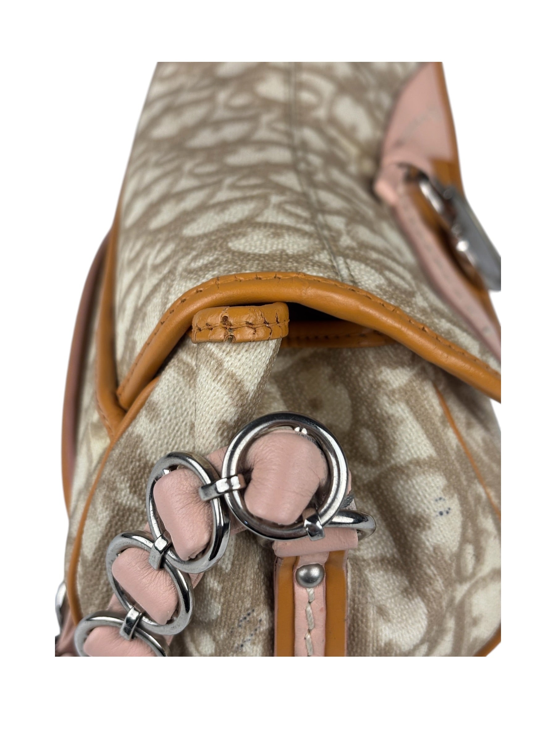 Christian Dior Leather Trotter Romantique Flap Shoulder Bag