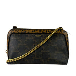 Celine Leopard Print-Trimmed Triomphe Chain Bag