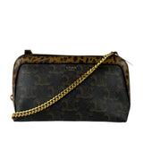 Celine Leopard Print-Trimmed Triomphe Chain Bag