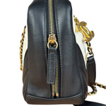 Chanel Bicolor Chevron V-Quilted Leather Camera Case 2014