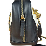 Chanel Bicolor Chevron V-Quilted Leather Camera Case 2014