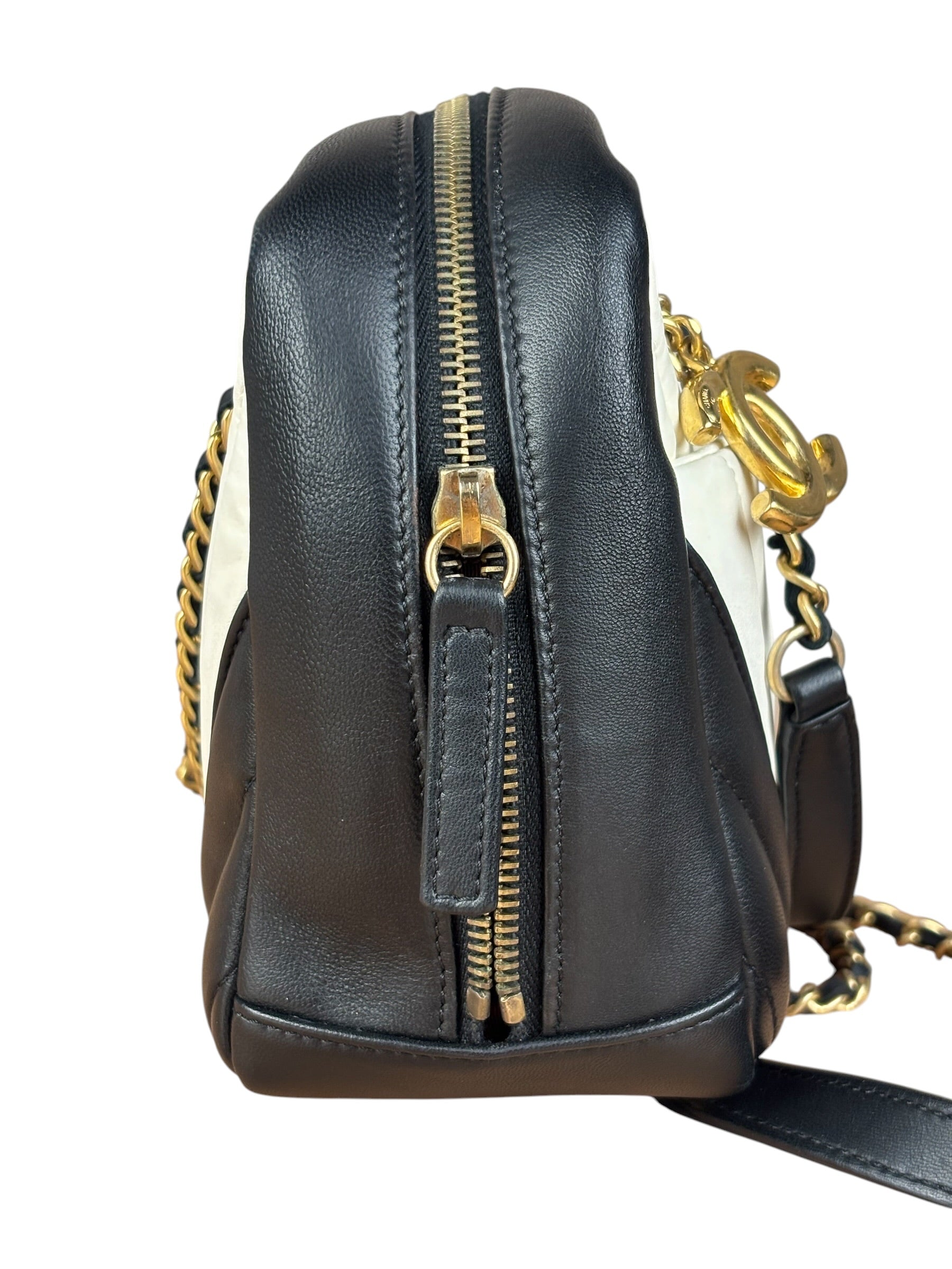 Chanel Bicolor Chevron V-Quilted Leather Camera Case 2014