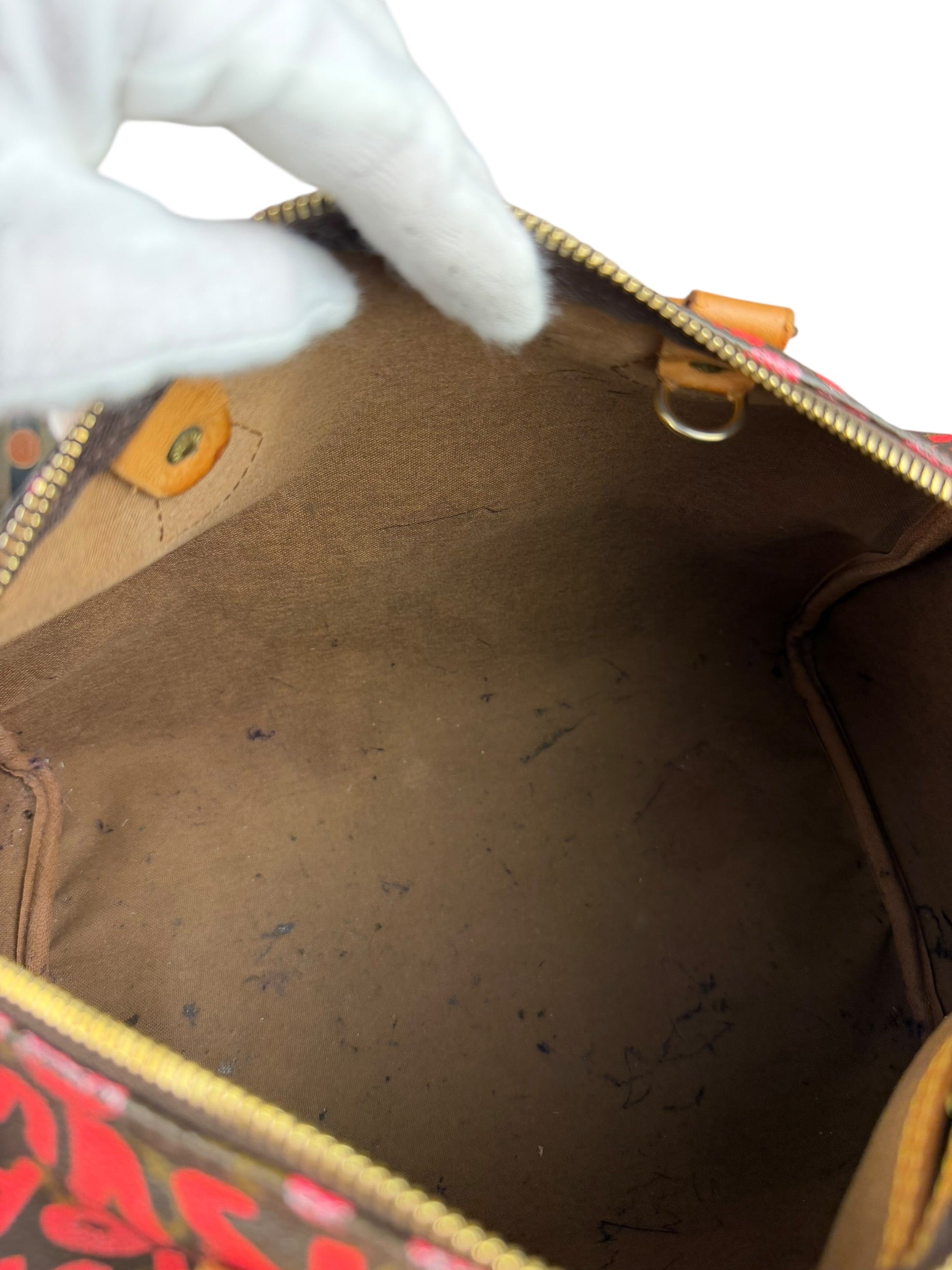 Louis Vuitton x Stephen Sprouse Graffiti Speedy 30 Pink