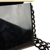 Chanel Plexi Coco Flap Crossbody 2000