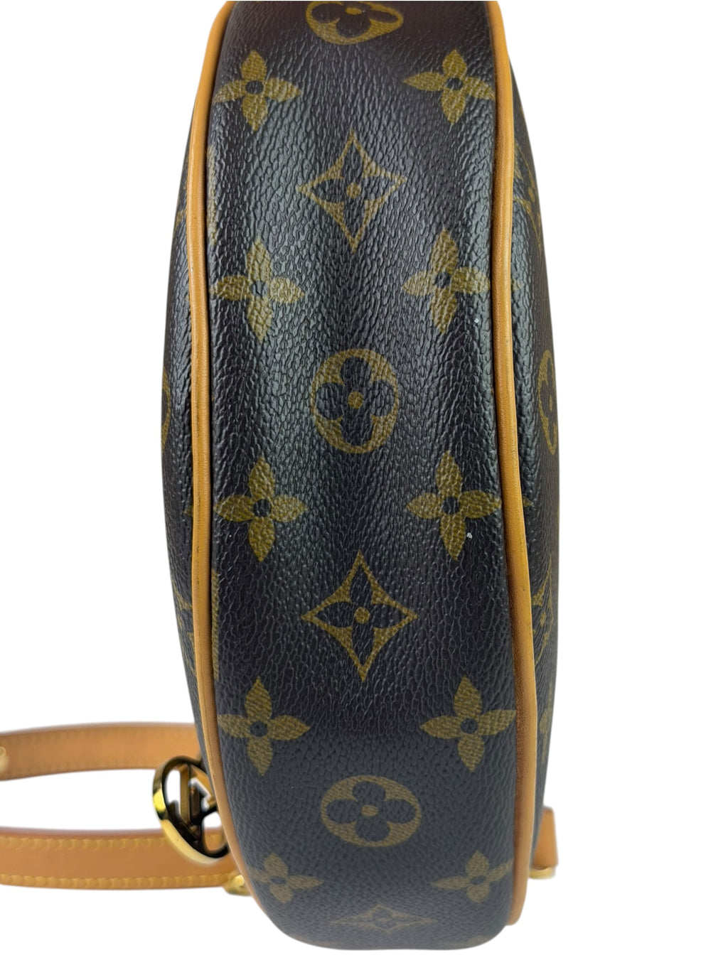Louis Vuitton Monogram Loop Pochette