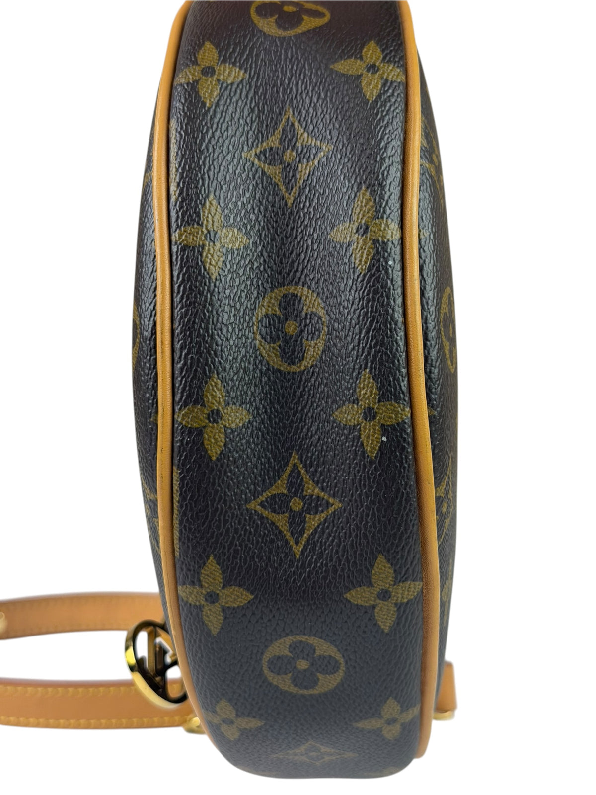 Louis Vuitton Monogram Loop Pochette