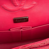 Chanel Classic Double Flap Python Bag Pink 2014