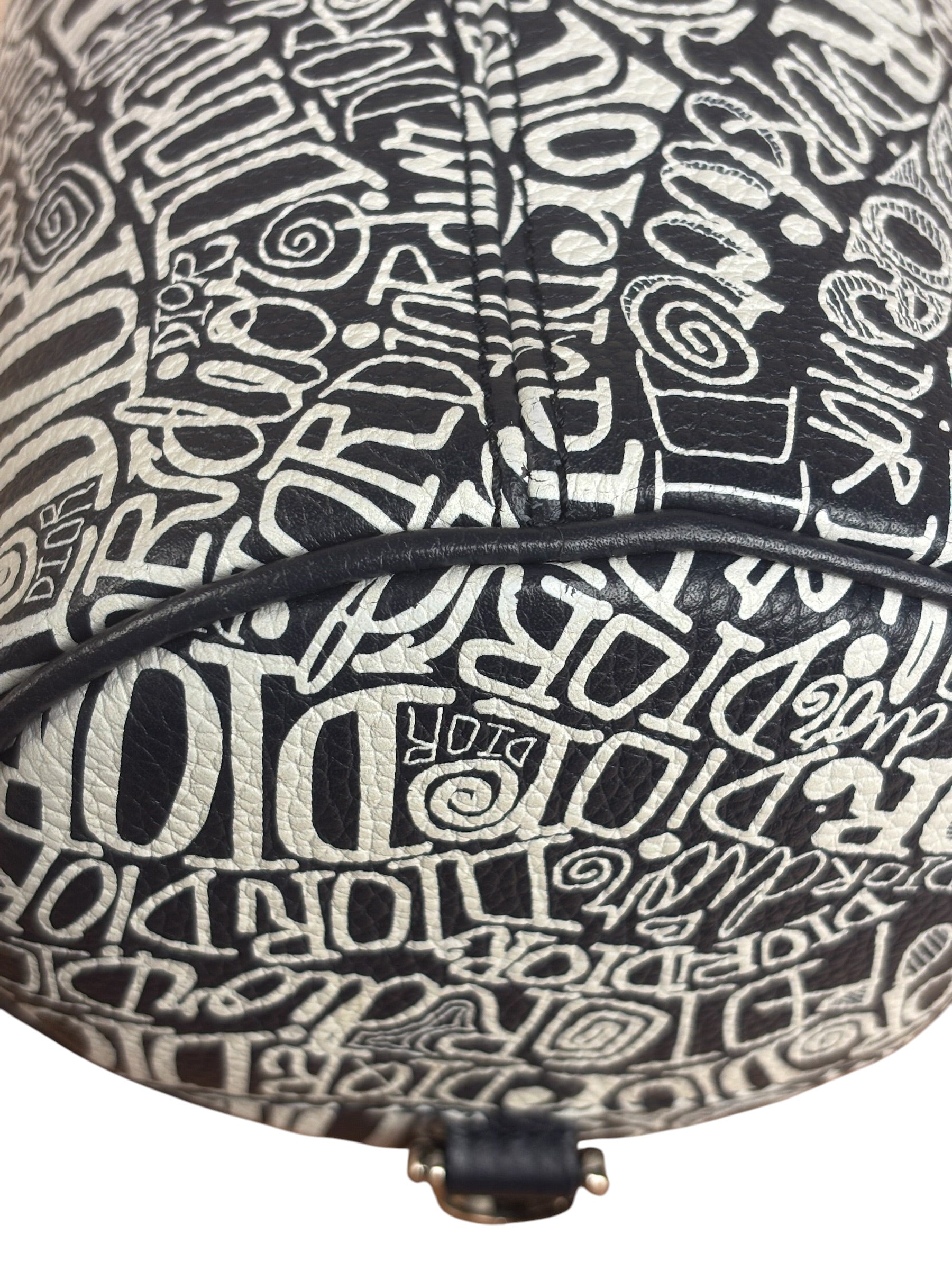 Dior Black/White Shawn Stussy Curvy Script Roller Bag