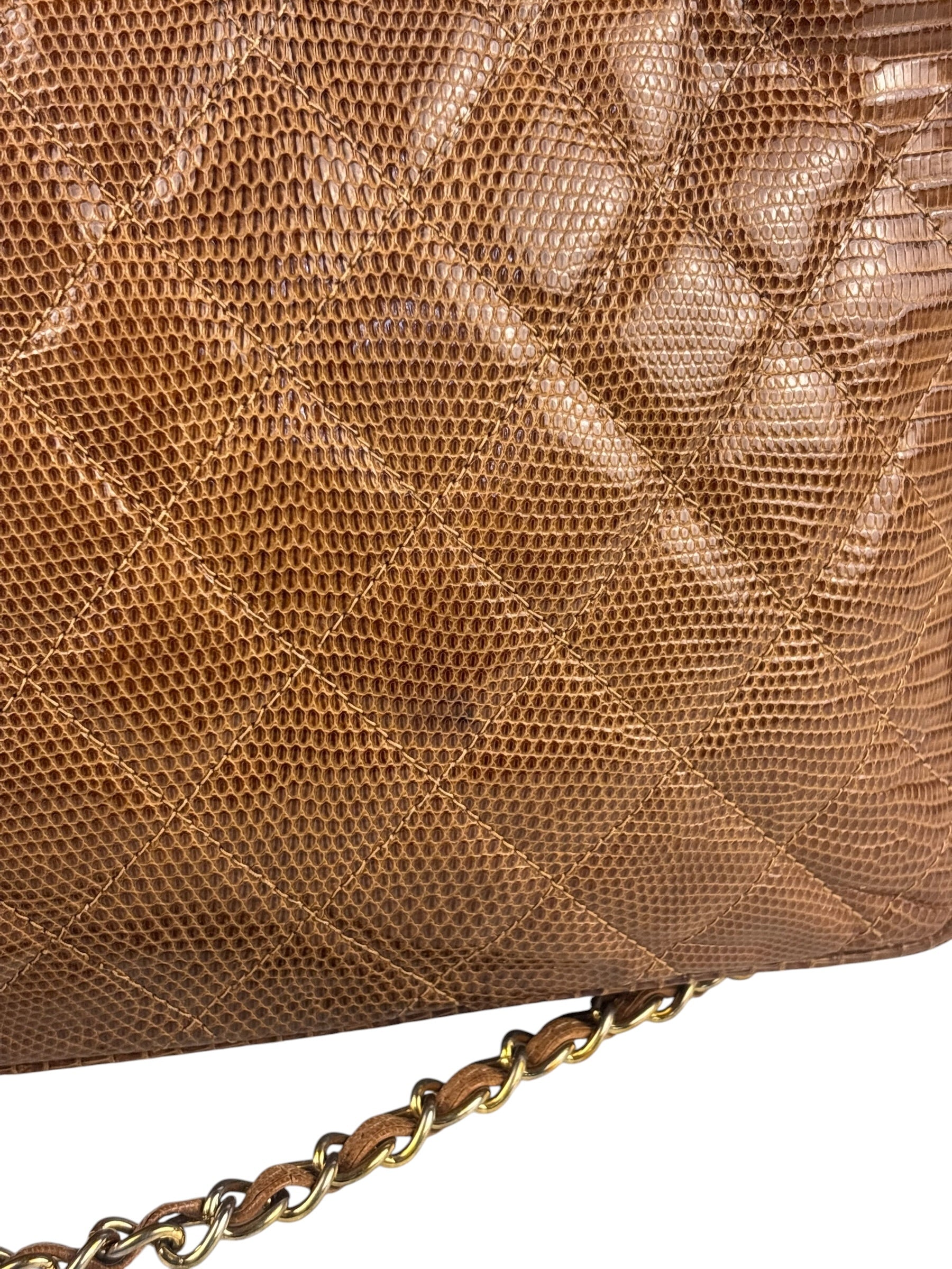 Chanel Vintage Leather Lizard Tassel Camera Case - 1987