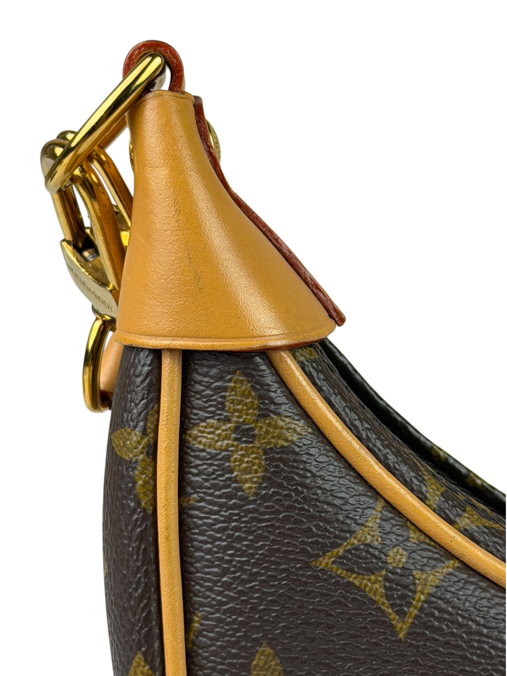 Louis Vuitton Monogram Loop Pochette