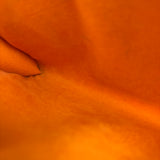 Louis Vuitton Orange Epi Leather Pochette